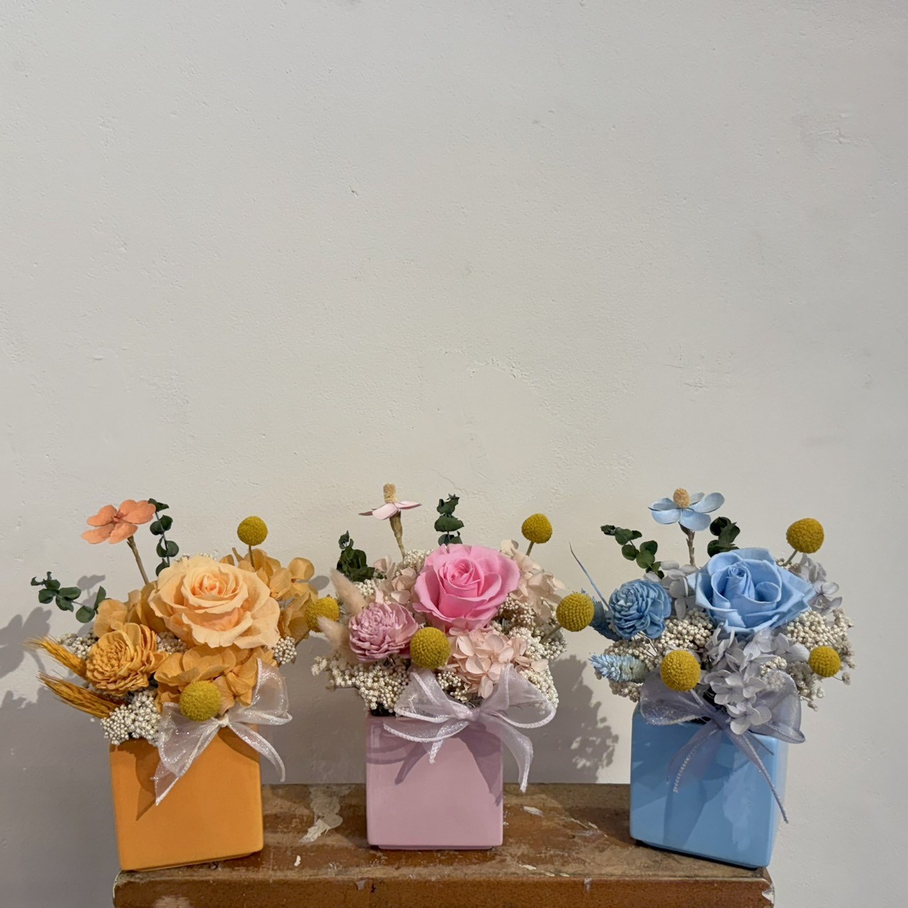 DT005 HXCN◆乾燥永生盆花