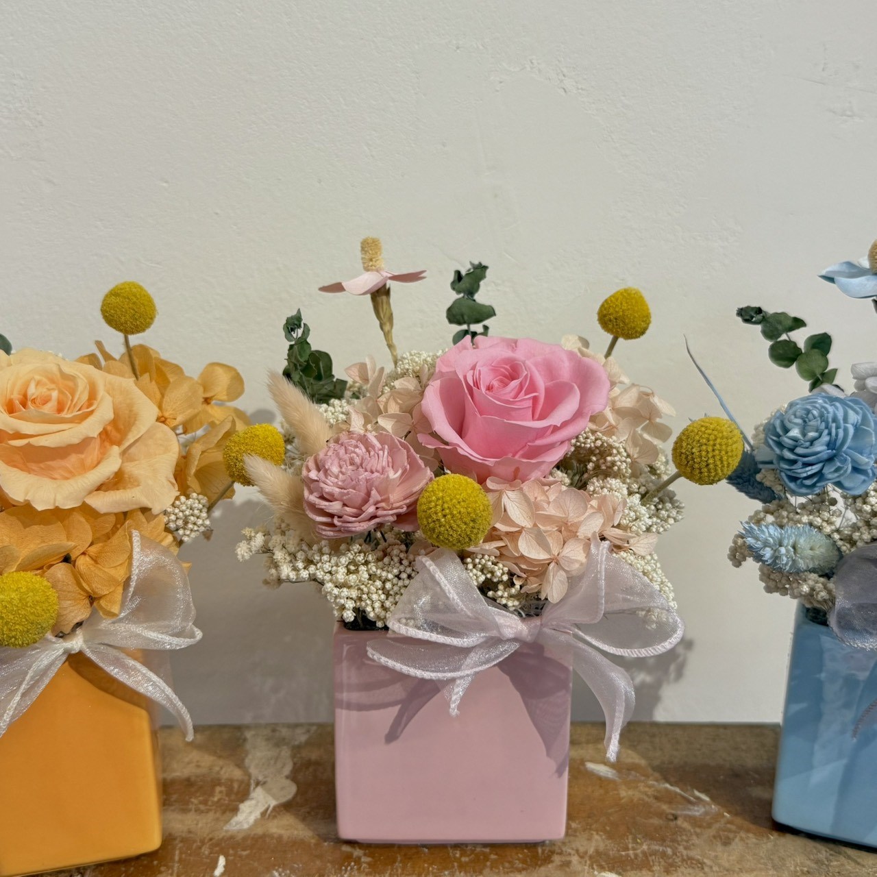 DT005 HXCN◆乾燥永生盆花