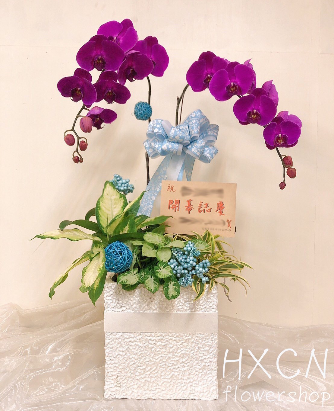 PF005HXCN◆優雅蘭花-桌上型