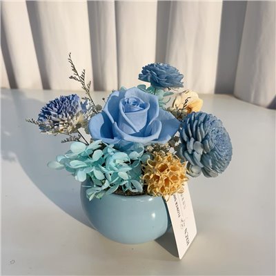 DT005 HXCN◆乾燥永生盆花
