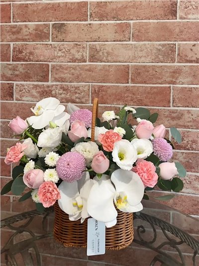 TR010 HXCN◆鮮花提籃盆花