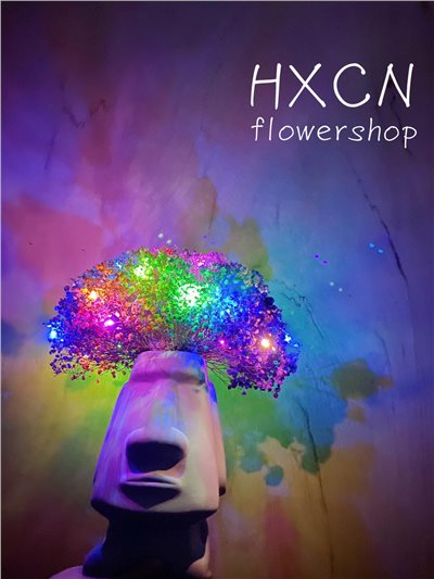 DT004 HXCN◆爆炸頭摩艾